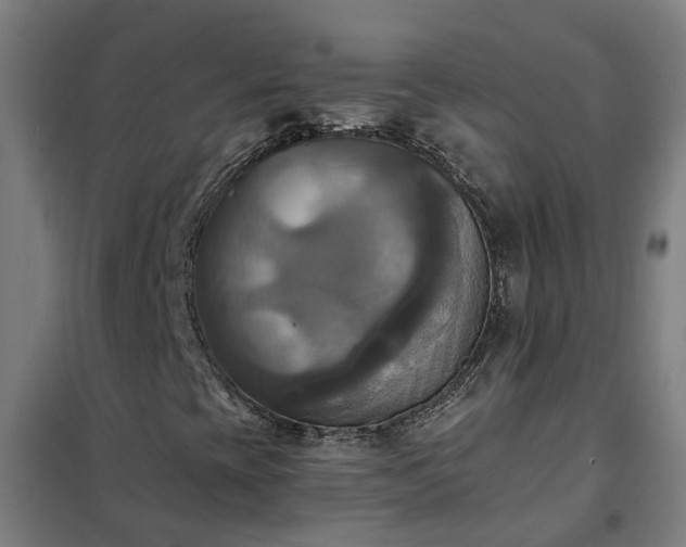 X0000102021393200807251321