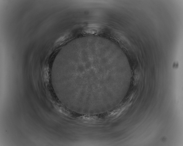 X0000102021394200807251321