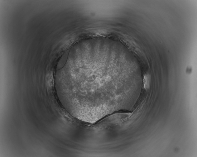 X0000102021395200807251321