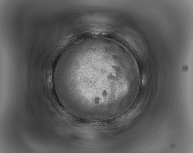 X0000102021396200807251321