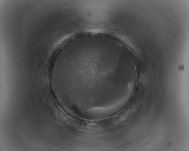 X0000102021398200807251321