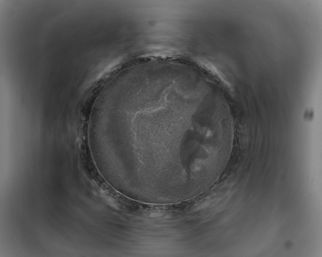X0000102021399200807251321