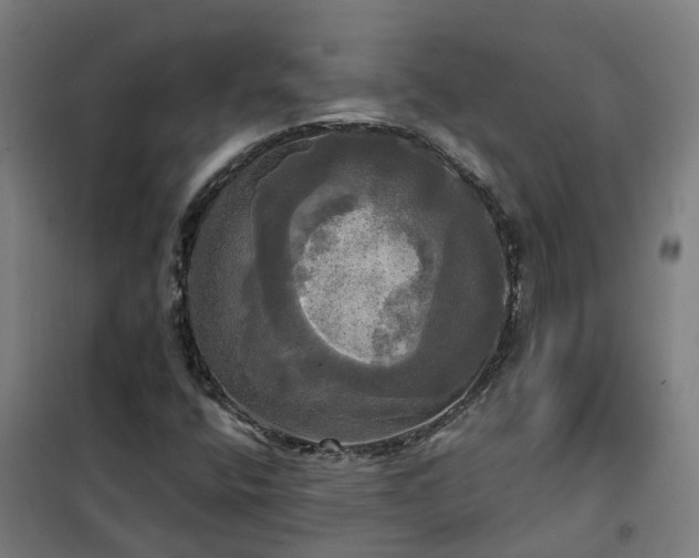 X0000102021400200807251321