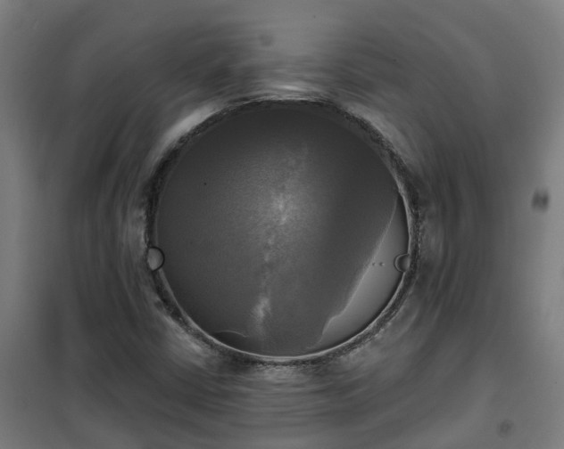 X0000102021402200807251321