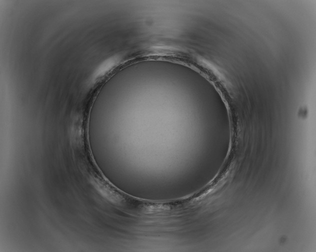 X0000102021403200807251321