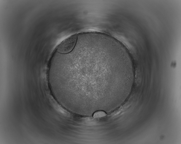 X0000102021404200807251321