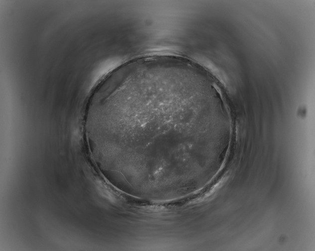 X0000102021405200807251321