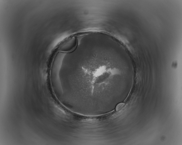 X0000102021406200807251321