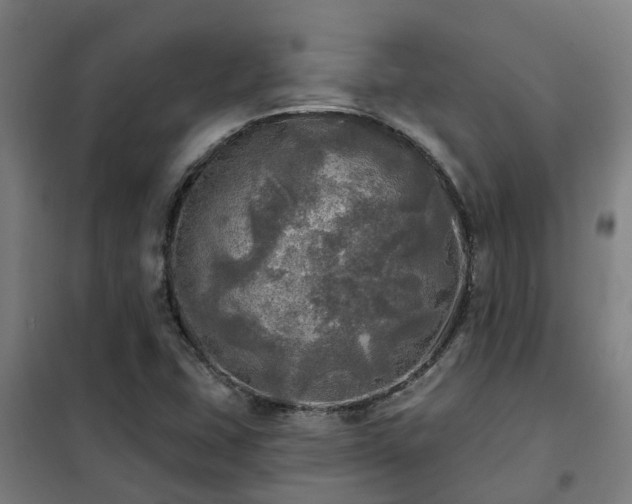 X0000102021407200807251321