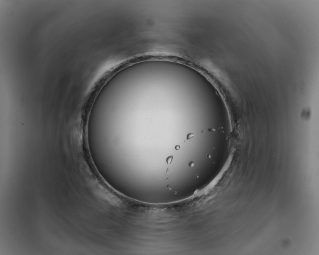 X0000102021408200807251321