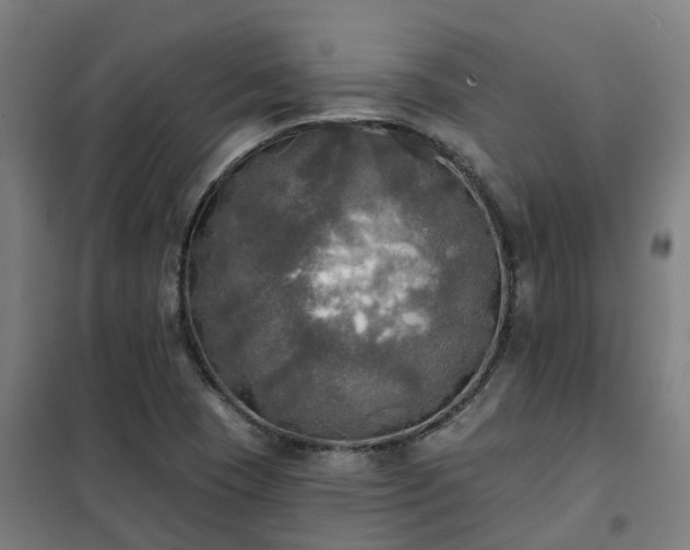 X0000102021409200807251321