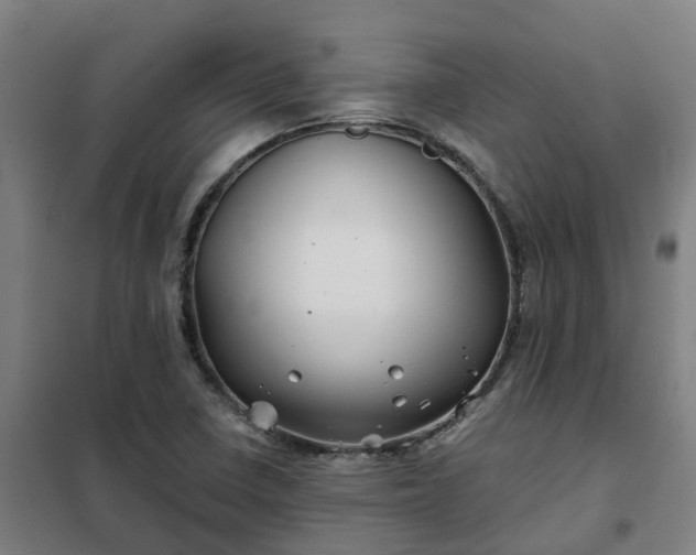 X0000102021410200807251321