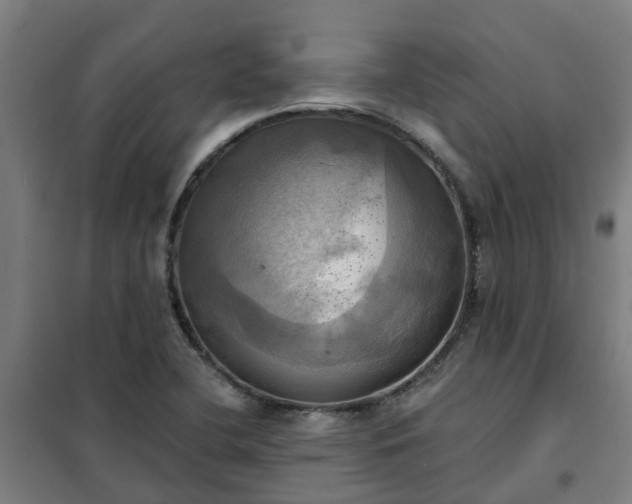 X0000102021412200807251321