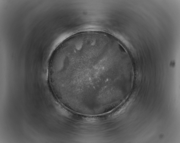 X0000102021413200807251321