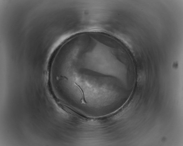 X0000102021414200807251321