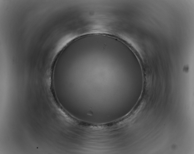 X0000102021415200807251321