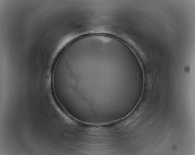 X0000102021416200807251321
