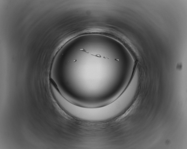 X0000102021417200807251321