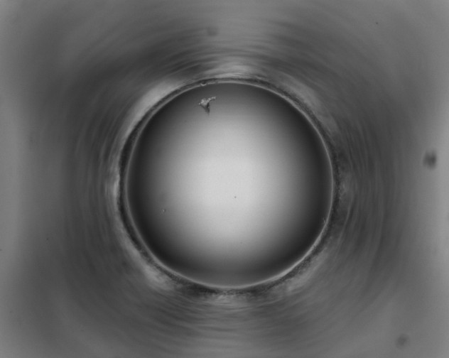X0000102021418200807251321
