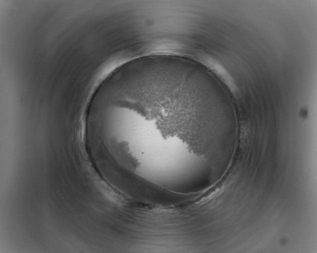 X0000102021419200807251321