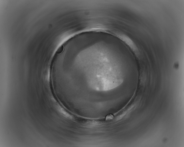 X0000102021420200807251321