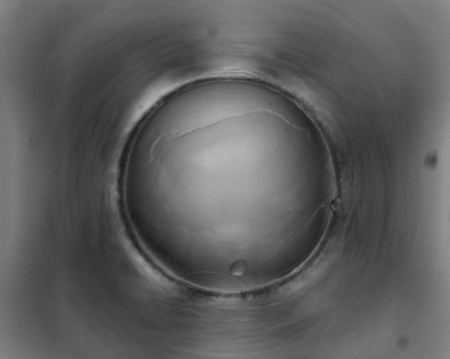 X0000102021422200807251321