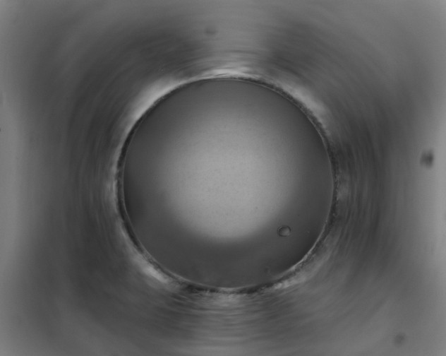 X0000102021423200807251321