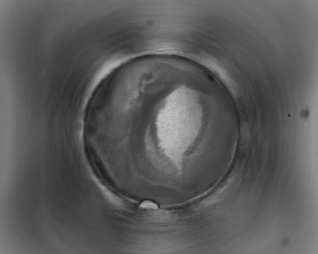 X0000102021424200807251321
