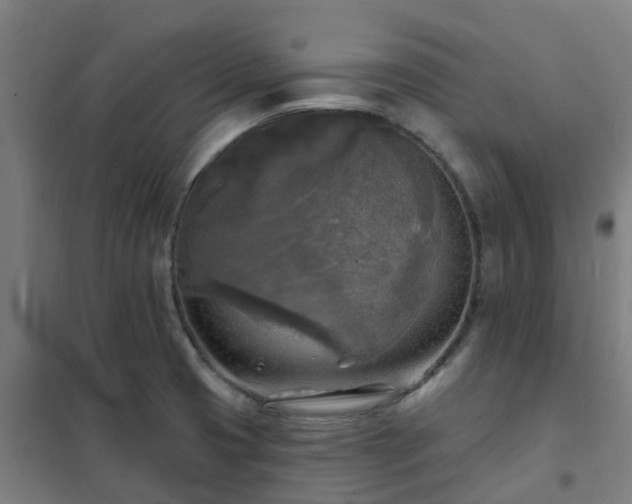 X0000102021425200807251321