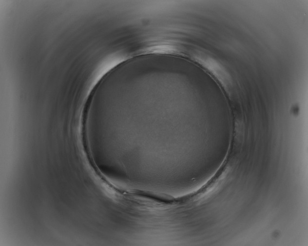X0000102021426200807251321