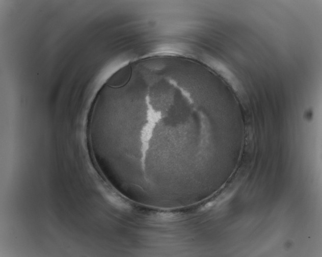 X0000102021427200807251321
