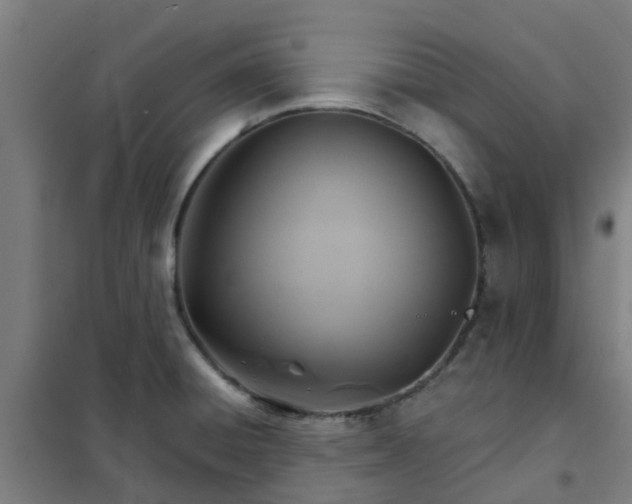 X0000102021428200807251321