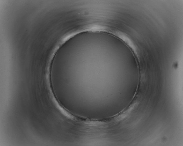 X0000102021429200807251321