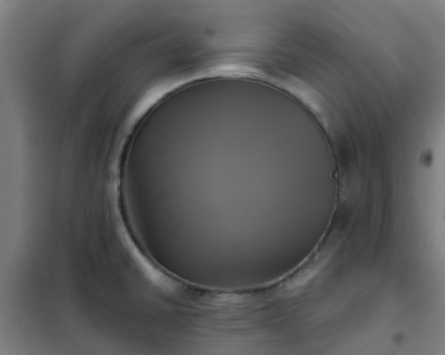 X0000102021430200807251321