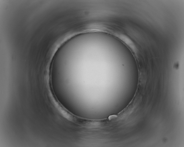 X0000102021431200807251321