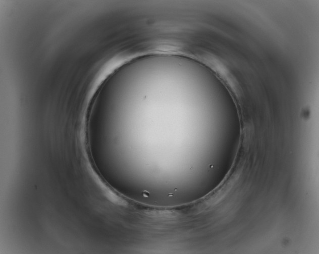 X0000102021432200807251321