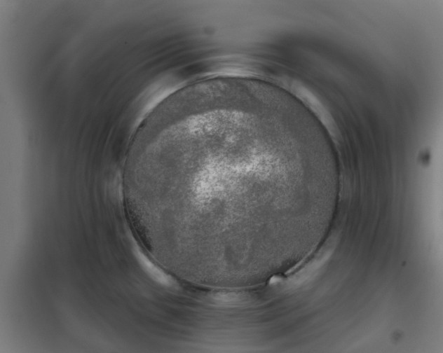X0000102021433200807251321