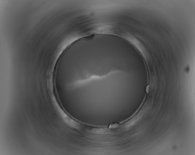 X0000102021434200807251321
