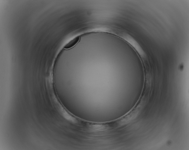 X0000102021436200807251321