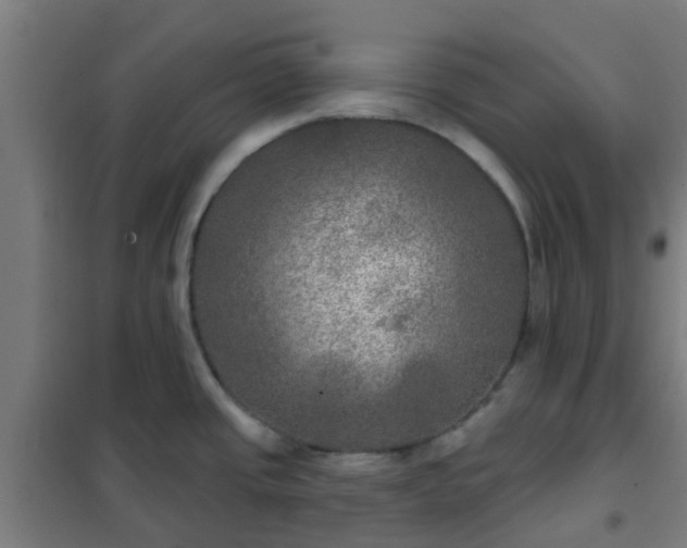X0000102021437200807251321