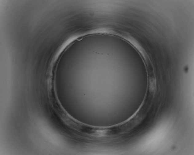 X0000102021438200807251321