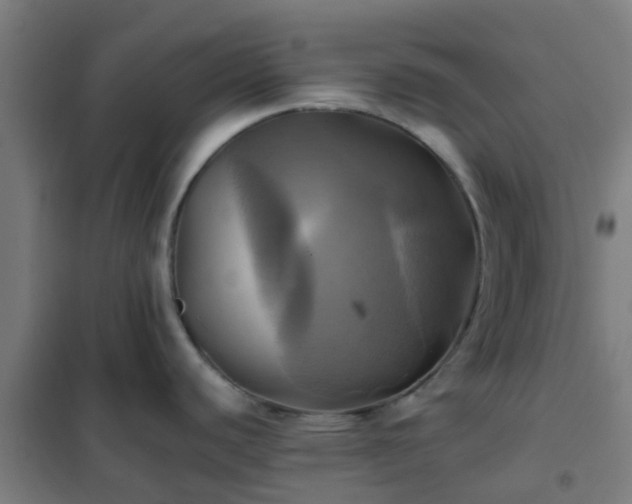 X0000102021440200807251322