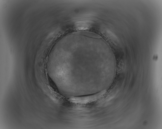 X0000102021441200807251321