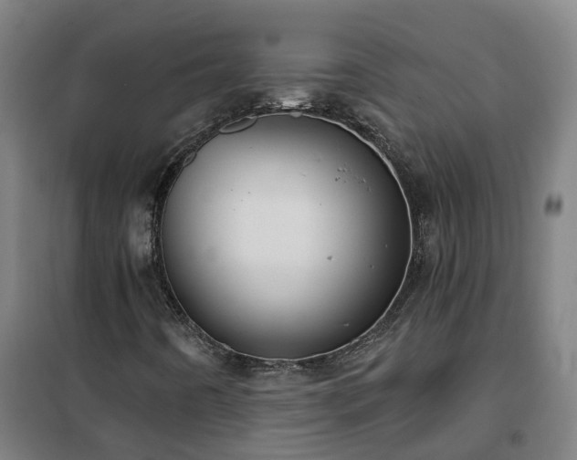 X0000102021442200807251321