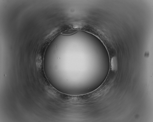 X0000102021443200807251321