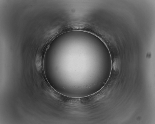 X0000102021444200807251321