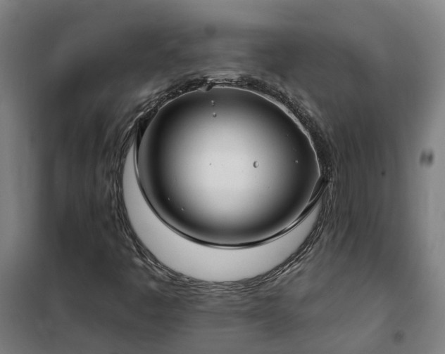 X0000102021445200807251321