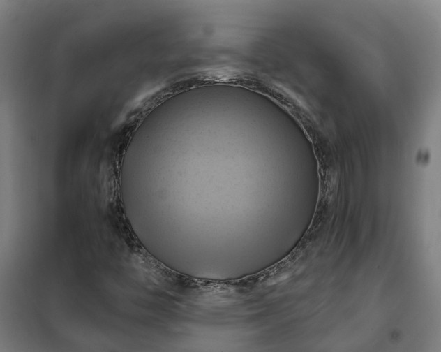 X0000102021446200807251321