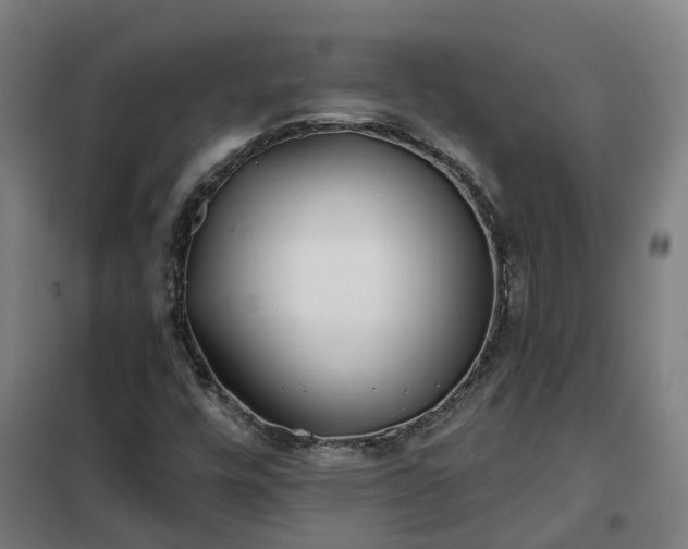 X0000102021448200807251321