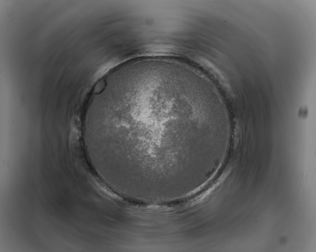 X0000102021449200807251321